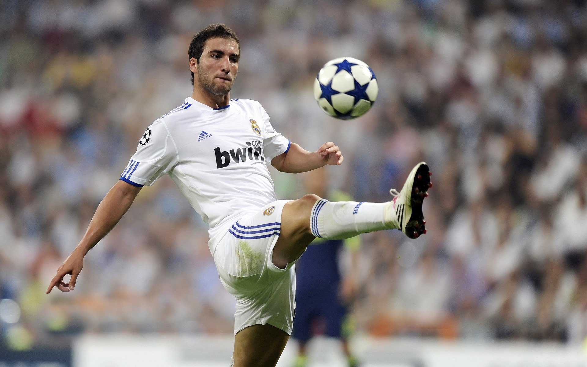 意甲焦点战？公牛一波带走掘金，体育迷的跨时空遐想